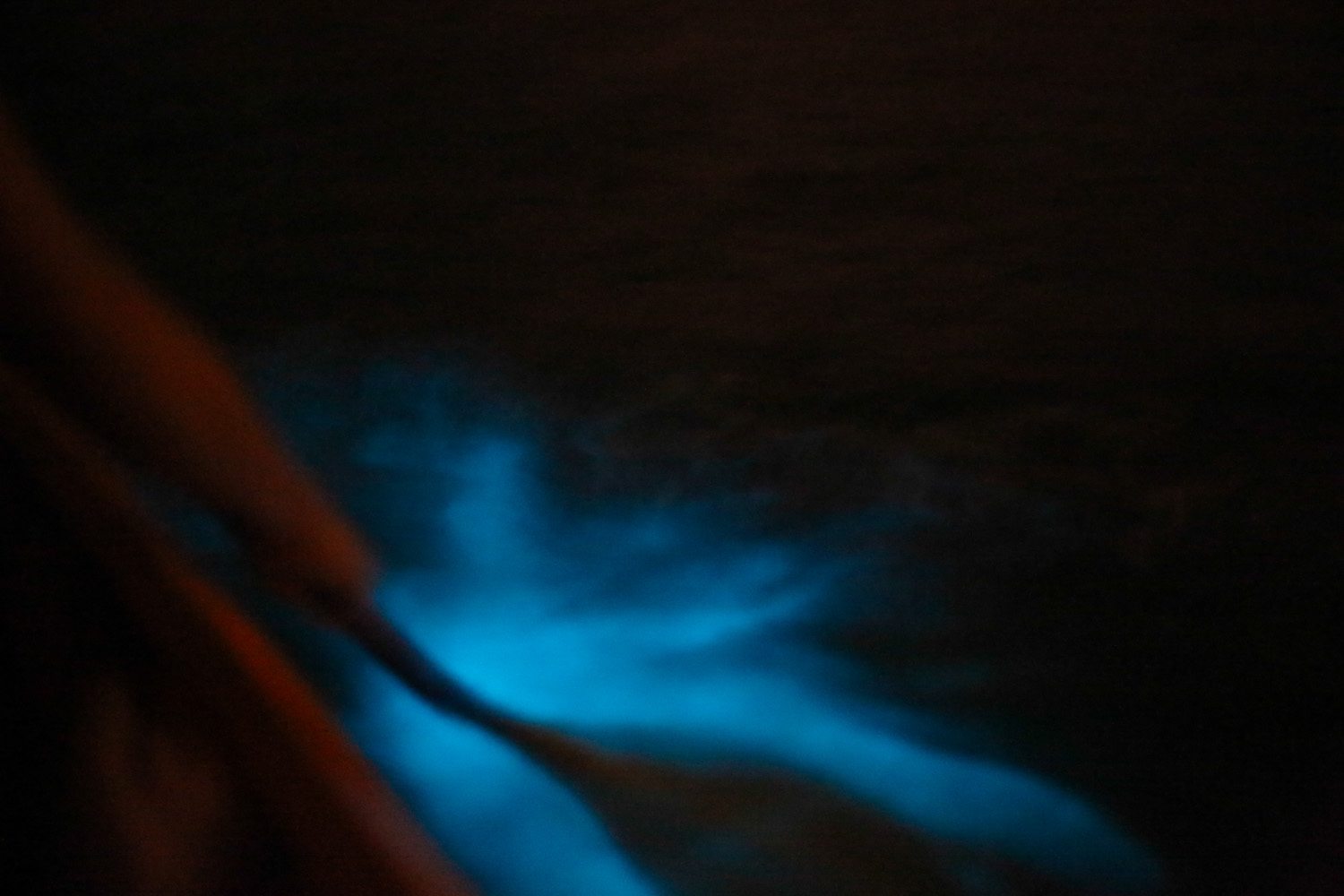 Kayaking a Bioluminescent Bay