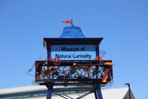 Museum of Natural Curiosity Sign